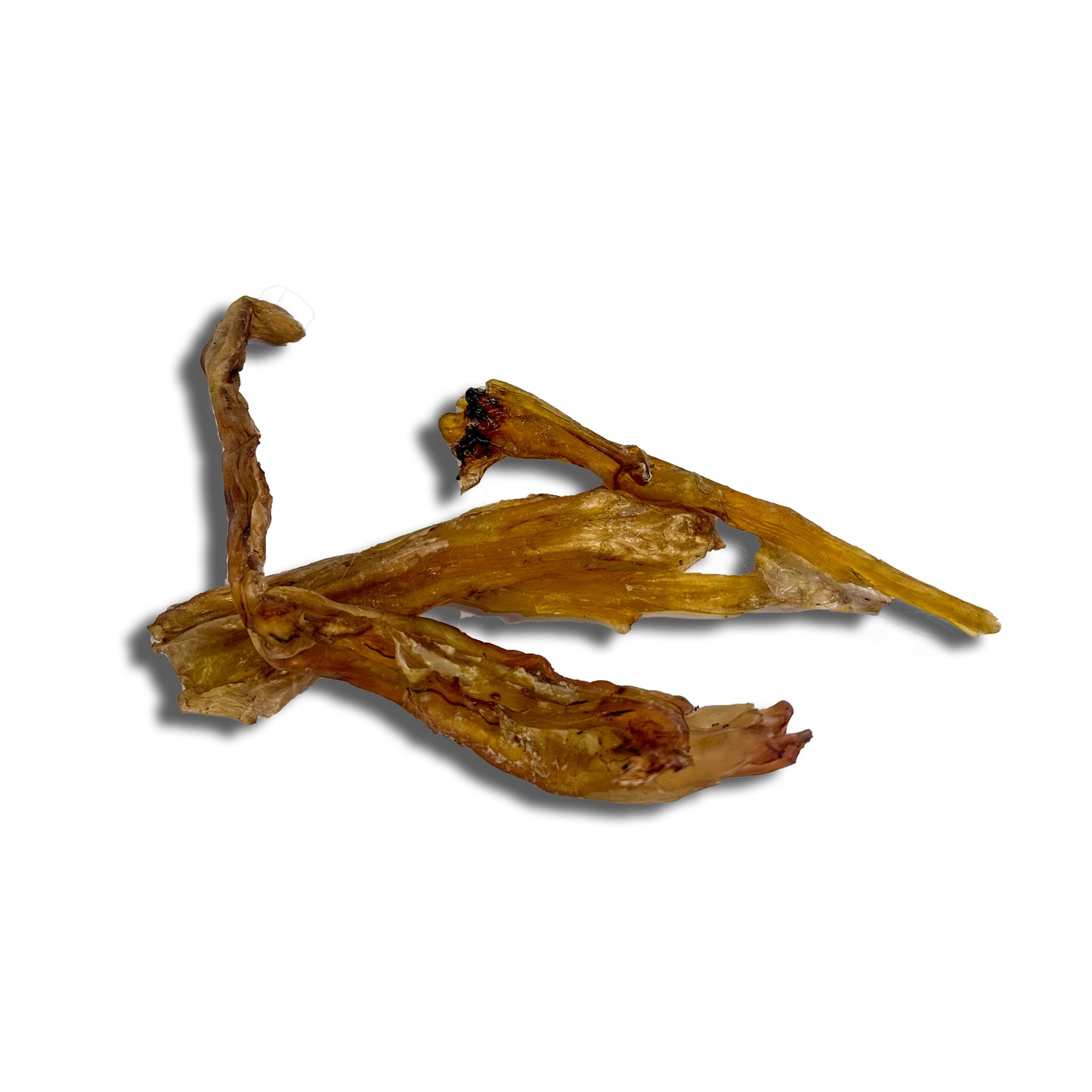 Beef Tendon